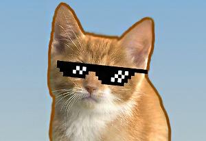 Cat Clicker MLG